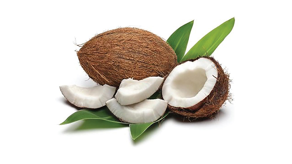 Cocco